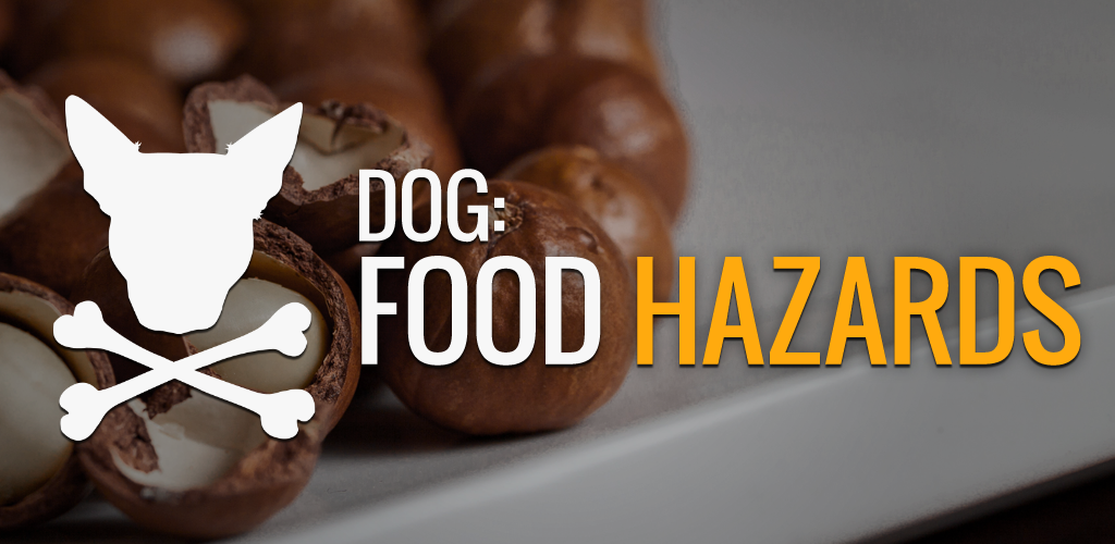 People Food Hazards for Dogs